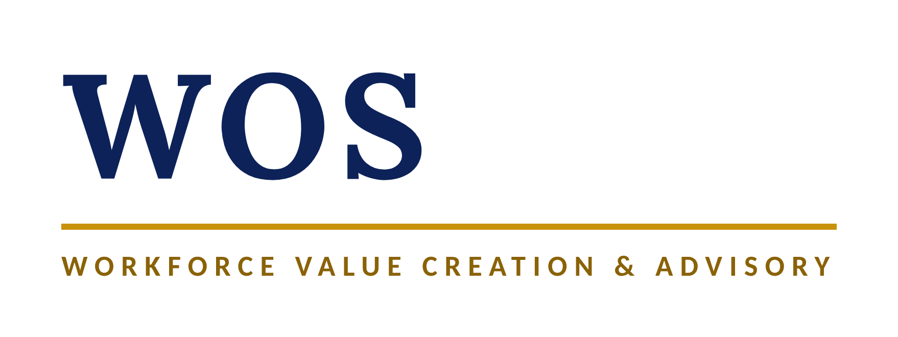 WOS — Workforce Value Creation and Advisory